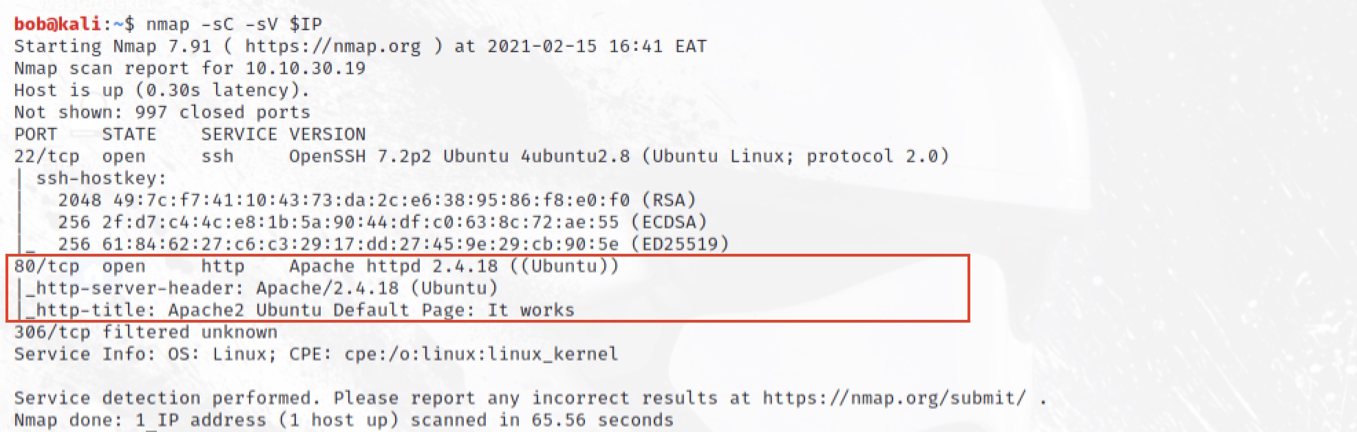 nmap scan